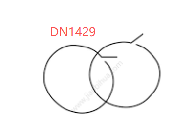 Hoop Earrings (DN1429)