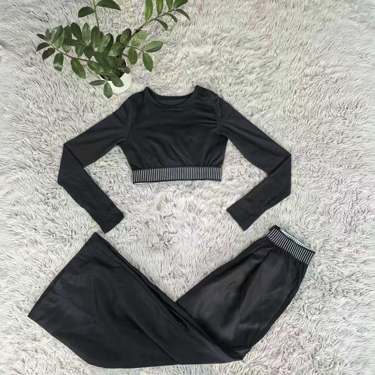 Crop Top and Pants Set