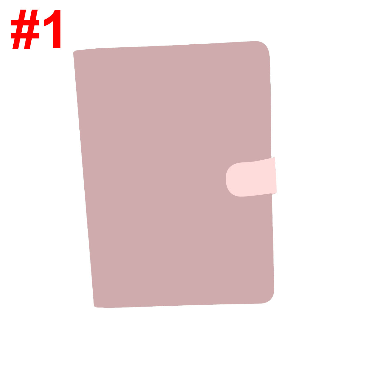 iPad case