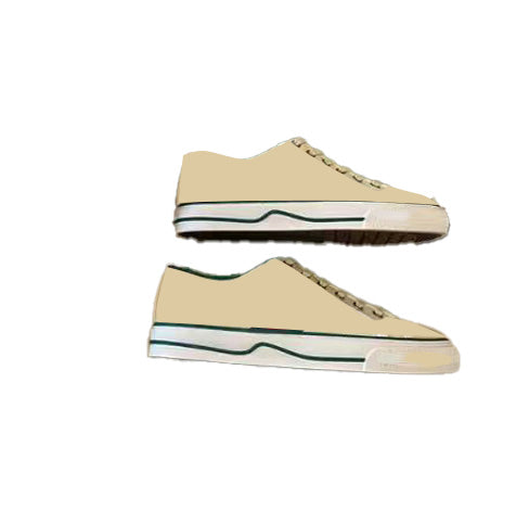 Canva Shoes