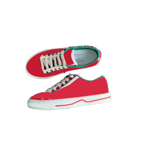 Canva Shoes