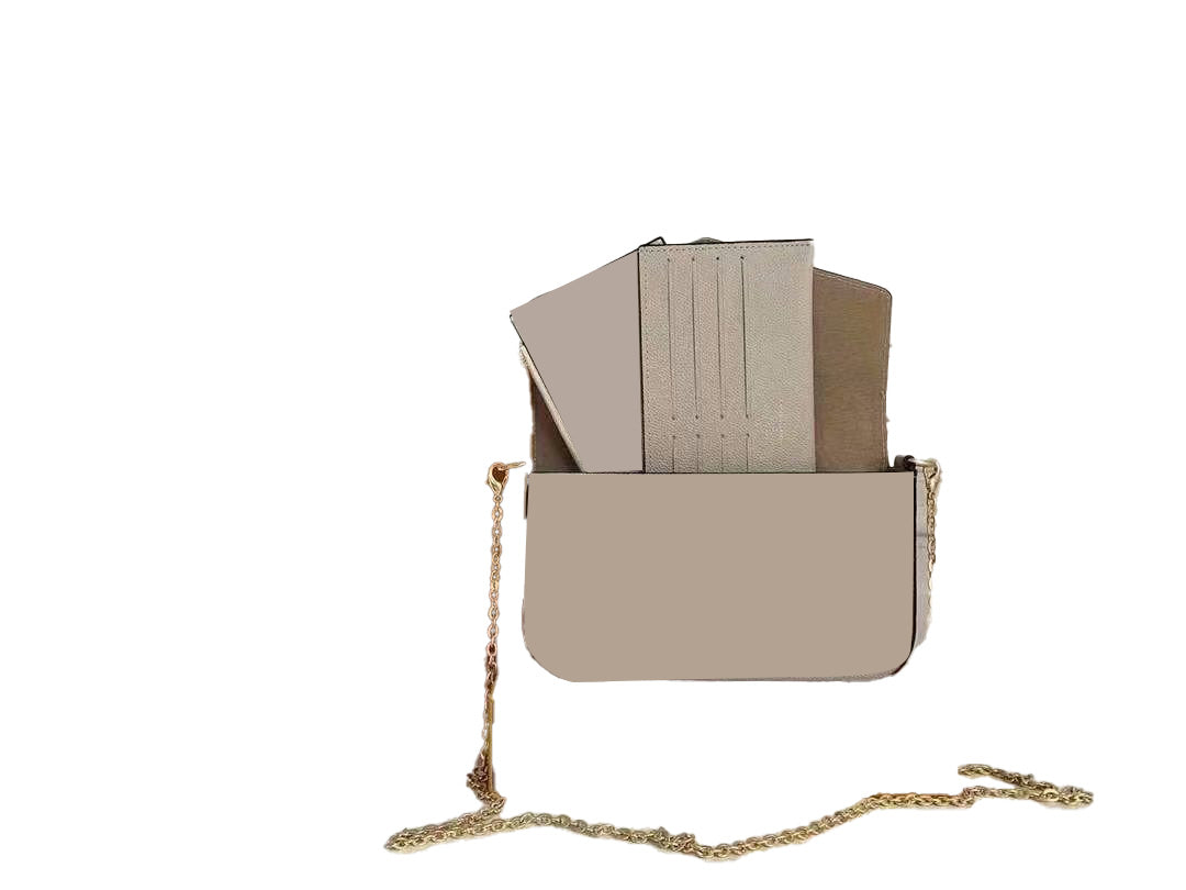 Classic Chain Bag