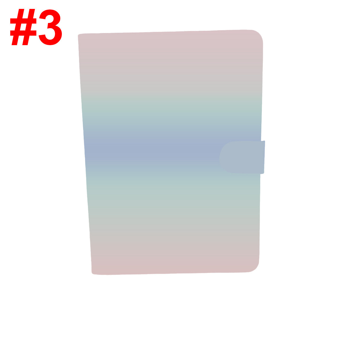 iPad case