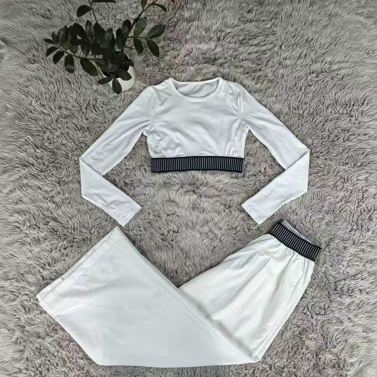 Crop Top and Pants Set