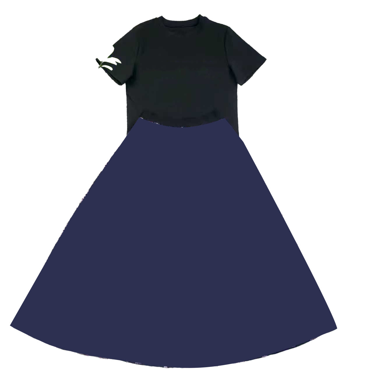 Top and pleated skirt set