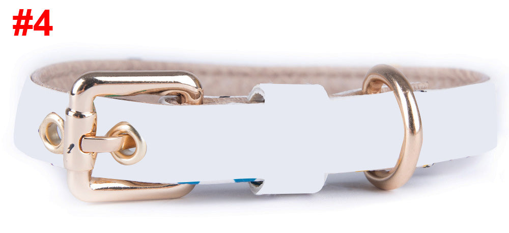 Pet Collar leash Set