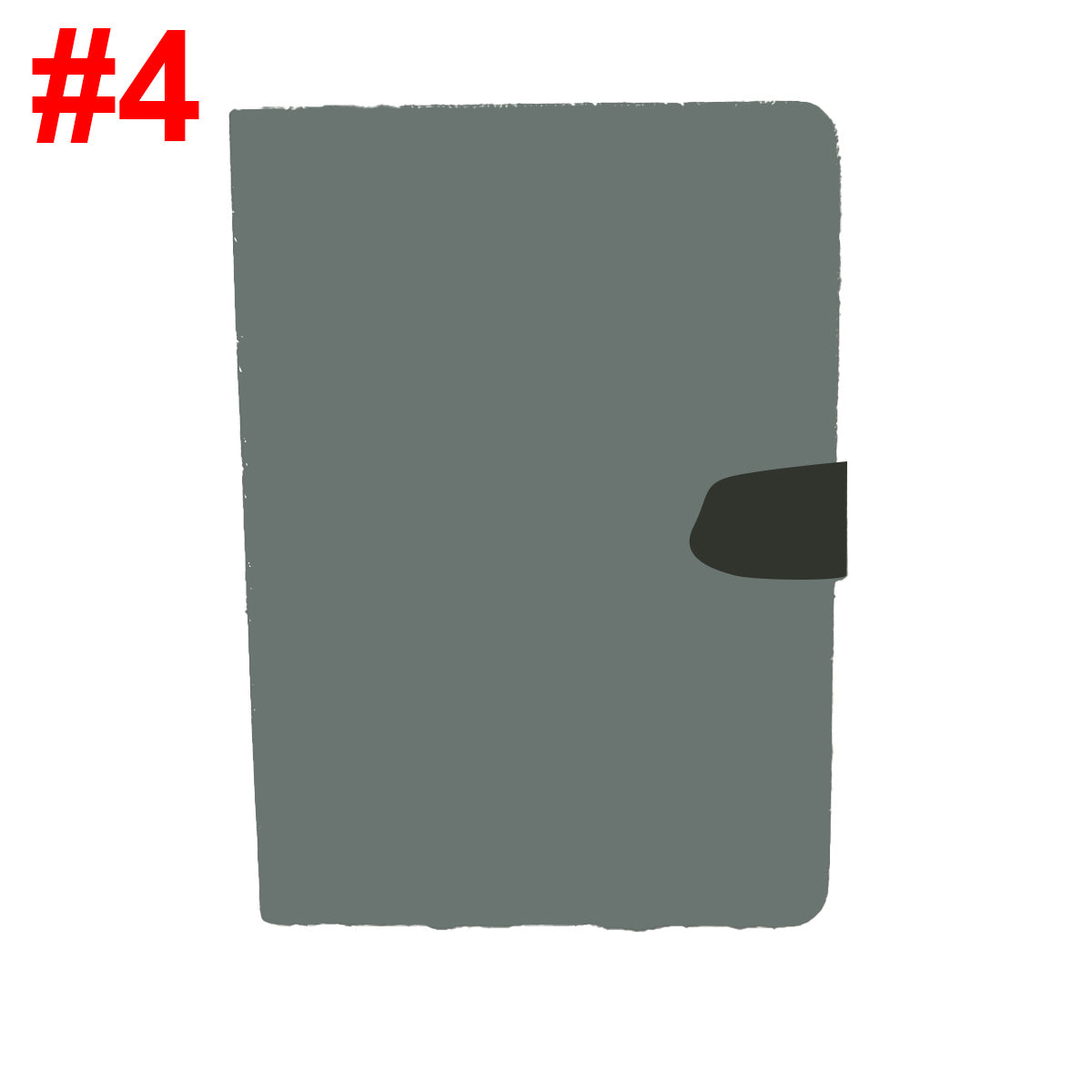 iPad case