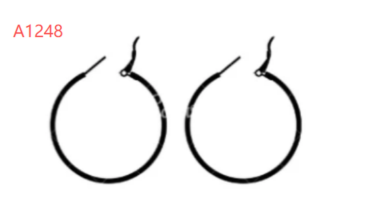 Earring（A1248）