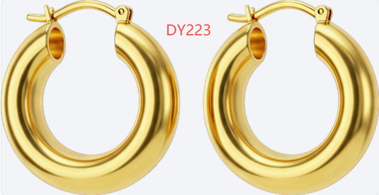 Earring（DY223）
