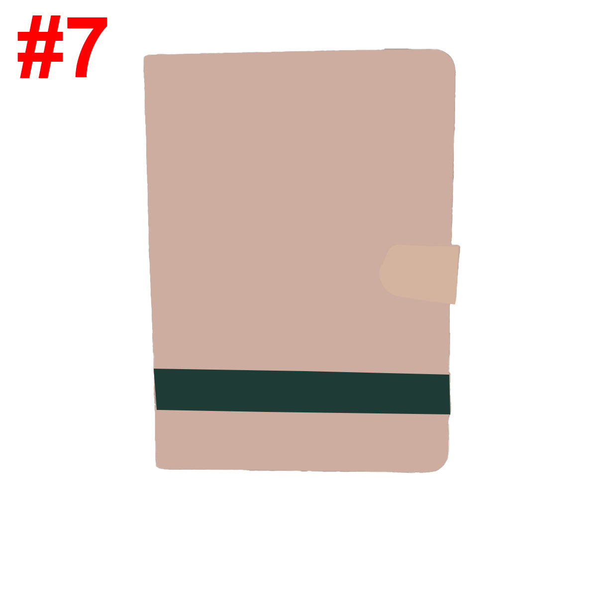 iPad case