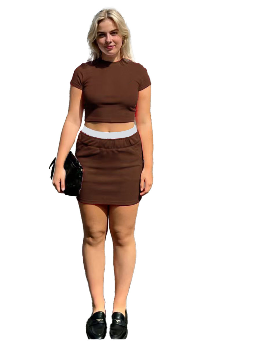 Short Skirt and Short Sleeve Top Set