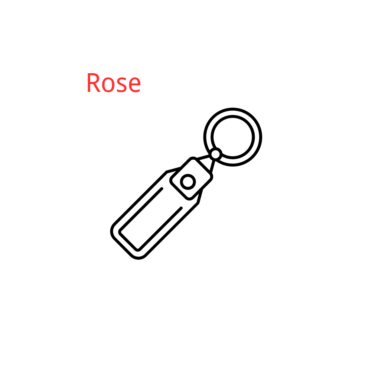 Key Chain(DP7084)